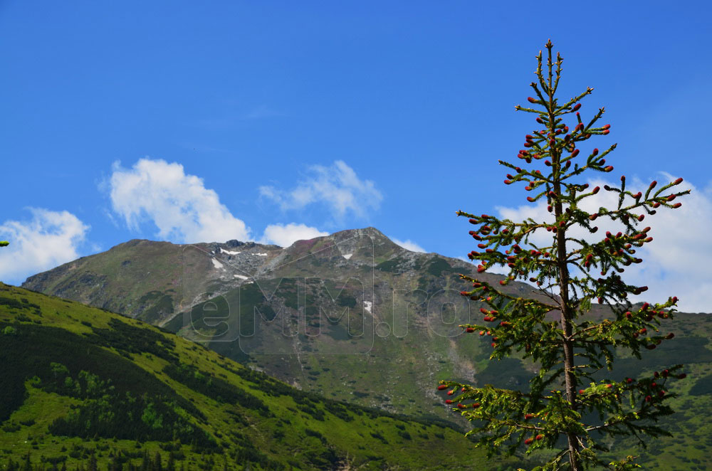 Varful Puzdra